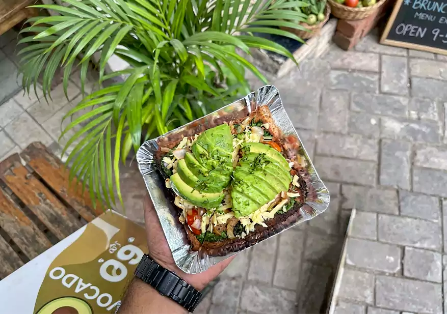 Sliced avocado on multigrain toast with herbs and seasonings