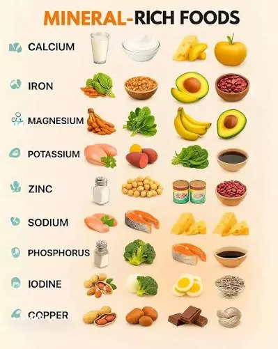 High in Minerals Food Items