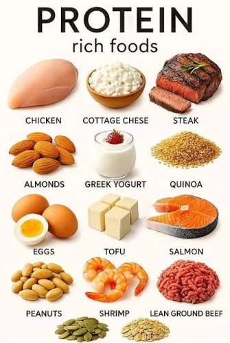 Protein Rich Food Items
