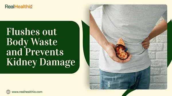 Fifth benefit of drinking water is it Flushes out Body Waste and Prevents Kidney Damage