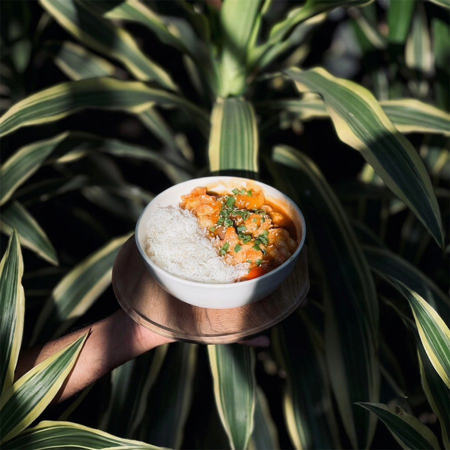 Rice with Thai Curry