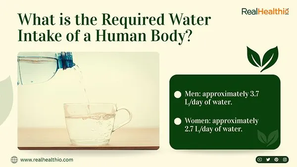 What is the Required Water Intake of a Human Body