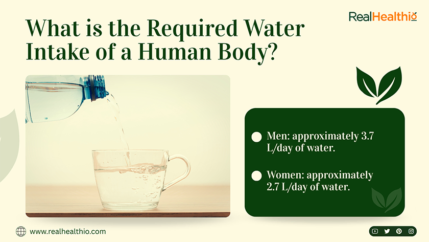 What is the Required Water Intake of a Human Body
