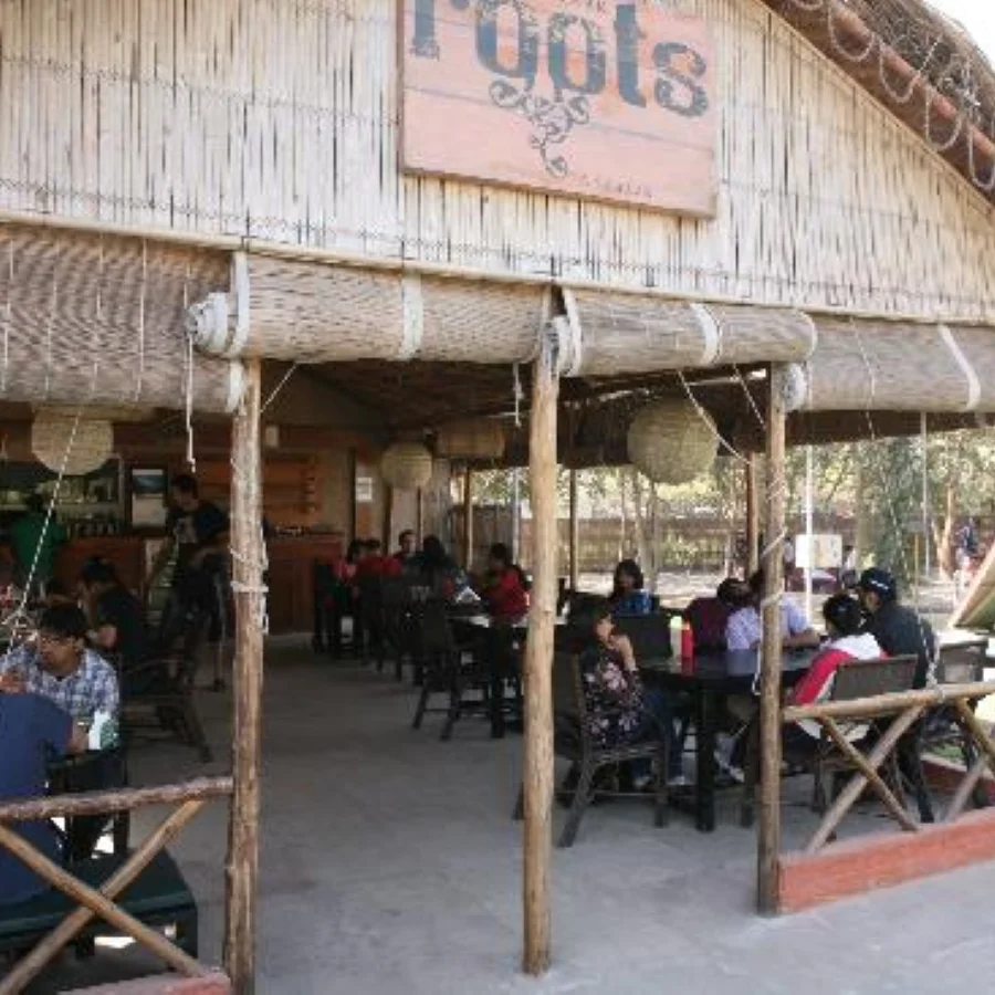 Unique sitting at Roots - Cafe in the Park