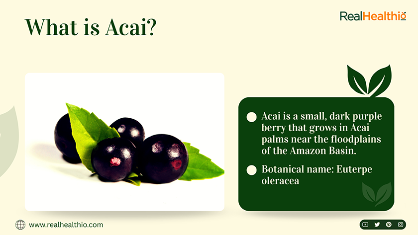 What is Acai